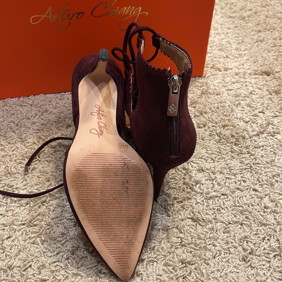 Arturo Chiang Malbec (deep burgundy) Suede heels size 6. - Picture 3 of 4